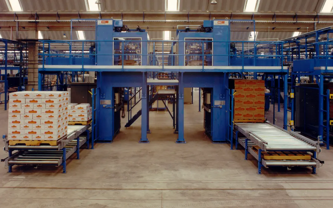 Go To The Factory And Discover How French Fries Are Made
