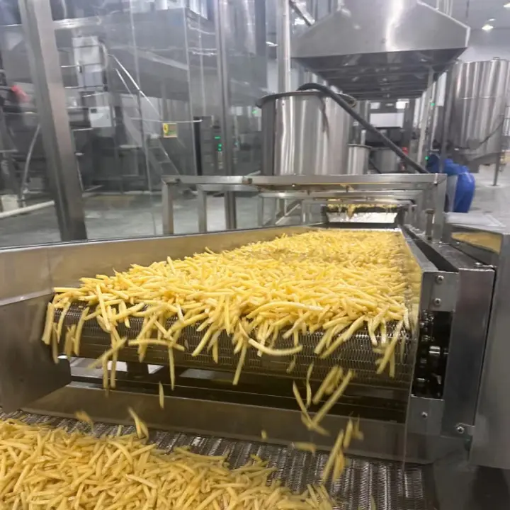 The Art of Efficiency French Fries Production Line (1)vxg